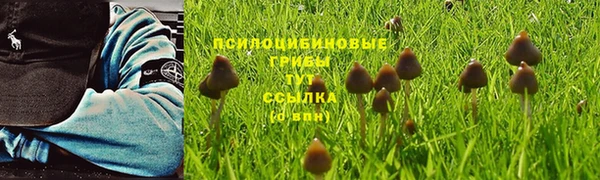 шишки Алексин